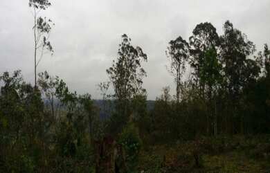 Imagem 9: ÁREA DE 22855M2 JUNDIAI NO BAIRRO DO JUNDIAI MIRIM