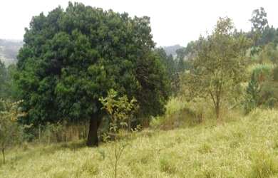 Imagem 7: ÁREA DE 22855M2 JUNDIAI NO BAIRRO DO JUNDIAI MIRIM