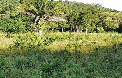 Imagem 7: Fazenda em Cáceres à venda, 17640000 m² por R$ 8.000.000 - Zona Rural...