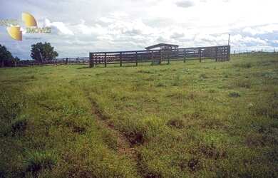 Imagem 9: Fazenda á 14km de Rosário à venda, 3200000 m² por R$ 5.500.000 - Zona...