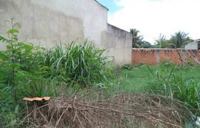 Imagem 3: Terreno Murado Bem Localizado Próximo A Clinica Da Família Sepetiba