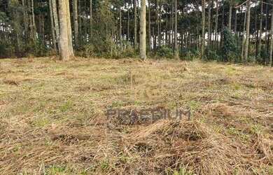 Imagem 1: Terreno à venda, 1001 m² por R$ 500.000,00 - Vila Fuck - Piraquara/PR