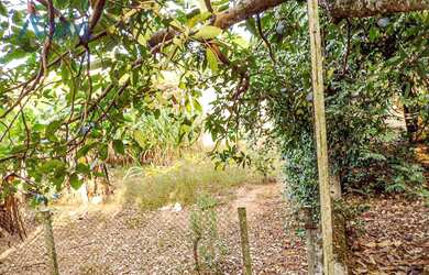 Imagem 5: Terreno condominio fechado