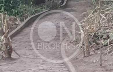 Imagem 12: Rio de Janeiro - Terreno Padrão - Freguesia Jacarepaguá