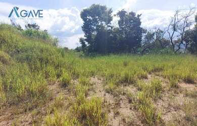 Imagem 5: Terreno vitoria regia. 10.938.400m² de Área