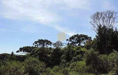 Imagem 11: Terreno à venda, 1001 m² por R$ 500.000,00 - Vila Fuck - Piraquara/PR