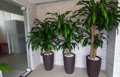 Imagem 15: Apartamento à venda, 79 m² por R$ 435.000,00 - Canto do Forte - Praia...