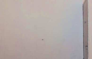 Imagem 15: Casa à venda, 200 m² por R$ 410.000,00 - Vila Izabel - Guarulhos/SP