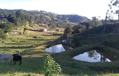 Imagem 1: Chácara rural à venda. 70m² de Área