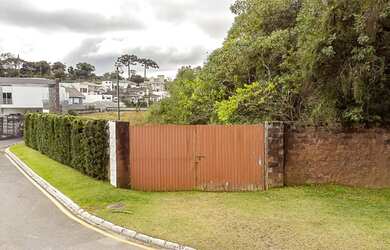 Imagem: Lote/Terreno para venda possui 5000 metros quadrados em Pilarzinho