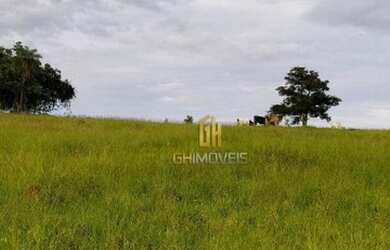 Imagem 5: Sítio à venda, 280784 m² por R$ 1.350.000,00 - Vila República - Goiás/GO