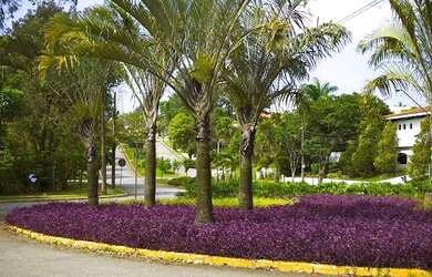 Imagem 8: Terreno à venda, 560 m² por R$ 3.000.000,00 - Alphaville Residencial...