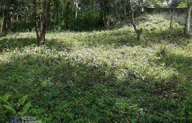 Imagem: O terreno possui 816m² de Área e está localizado em Cônego