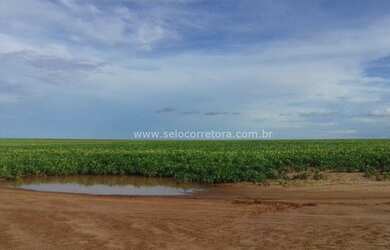Imagem: A fazenda está localizado em Primavera do Leste, MT à venda