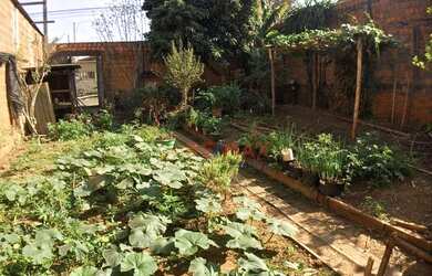 Imagem 3: Terreno à venda, 250 m² por R$ 140.000,00 - Jardim Sonia - Piracicaba/SP