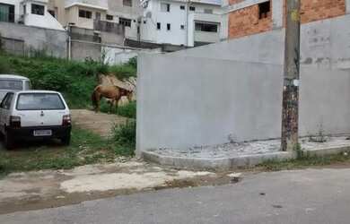 Imagem 11: Terreno à venda, 244 m² por R$ 650.000,00 - Campestre - Santo André/SP