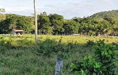 Imagem 8: Fazenda em Cáceres à venda, 17640000 m² por R$ 8.000.000 - Zona Rural...