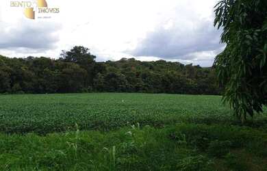 Imagem 2: Fazenda na região de Campo Verde à venda, 330000 m² por R$ 5.172.750...