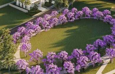Imagem 4: Jardins Capri. 256m² de Área