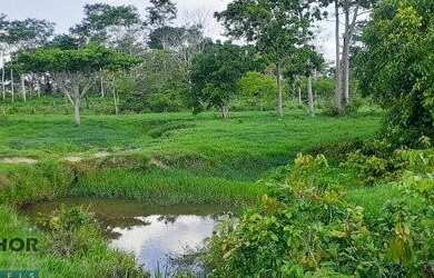 Imagem: Fazenda 127 alqueires Jaru