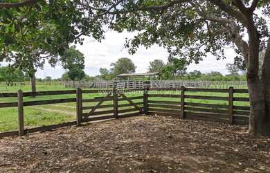 Imagem 16: Excelente Fazenda no Muni. de São Félix Do Araguaia e parte no Muni. de Luciara - MT