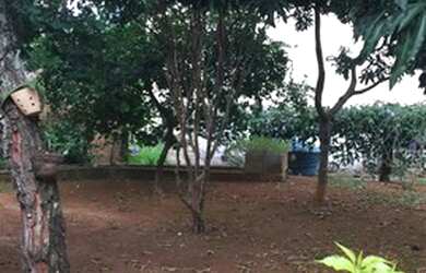 Imagem 6: Casa para Venda em Condomínio Bouganville Lagoa Santa MG