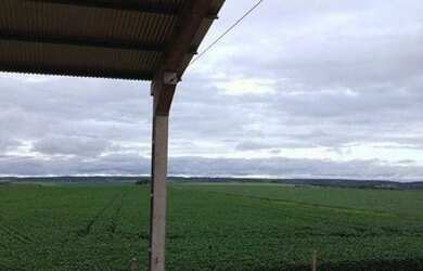 Imagem 7: Fazenda em Primavera do Leste à venda, 3300000 m² por R$ 12.500.000...