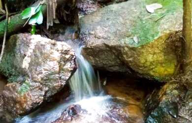 Imagem: A fazenda possui 60000m² de Área e está localizado em Paraju