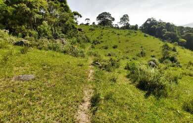 Imagem 13: Sítio à venda por R$ 690.000, 36 hectares, lindas pastegens e nascentes