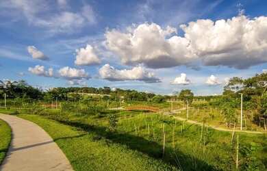 Imagem 13: Parqville Pinheiros. 543m² de Área