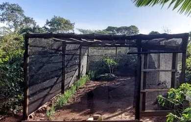 Imagem 5: Chácara em Pitangueiras-PR