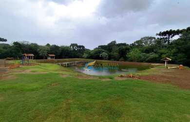 Imagem 7: Chácara à venda, 2000 m² por R$ 210.000,00 - Morumbi - Cascavel/PR