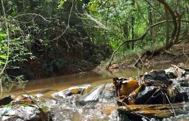 Imagem: O terreno possui 22.000m² de Área e está localizado em Joanápolis