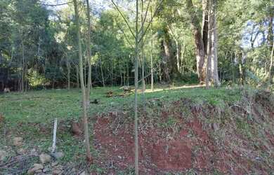 Imagem 14: Sítio / Chácara para Venda em Nova Petrópolis, Fazenda Pirajá, 2 dormitórios,...