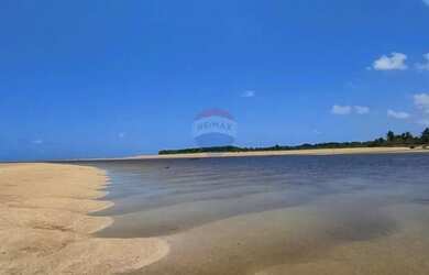 Imagem 16: Terreno incrível em Tatuamunha - Ótimo investimento