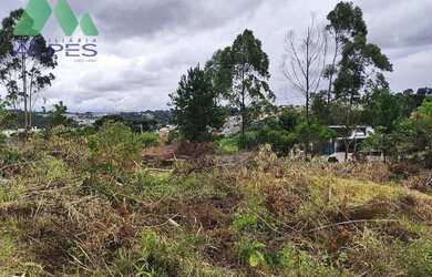 Imagem 2: Terreno à venda, 2293 m² por R$ 2.350.000,00 - Vila Feliz - Almirante...