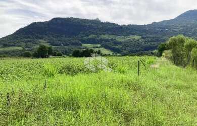 Imagem: A fazenda possui 31.600m² de Área e está localizado em Nova