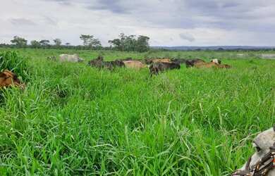 Imagem: A fazenda possui 3.020.000m² de Área e está localizado em
