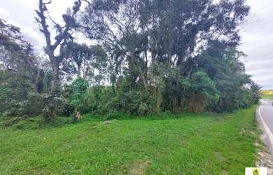 Imagem: O depósito possui 98.553m² de Área e está localizado em