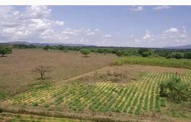 Imagem 4: Vende-se uma excelente fazenda de 238 hectares