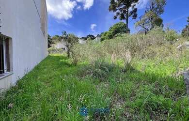 Imagem 10: No Villa Alpina terreno com 420m² Caxias do Sul