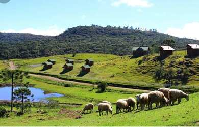 Imagem 2: Fazenda Fazenda / sítio com venda por R$120.000