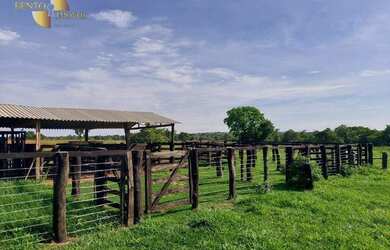 Imagem 1: Fazenda 4 km BR 070 à venda, 9000000 m² por R$ 12.600.000 - Zona Rural...