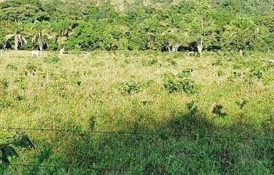 Imagem 14: Fazenda em Cáceres à venda, 17640000 m² por R$ 8.000.000 - Zona Rural...