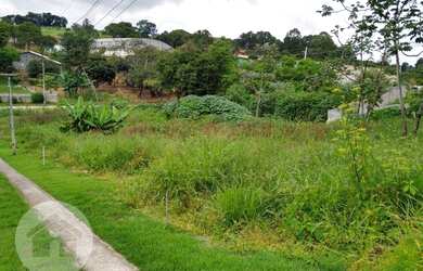 Imagem 3: Terreno à venda, 3200 m² por R$ 350.000,00 - Tijuco Preto - Caçapava/SP