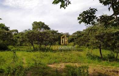 Imagem 2: Sítio à venda, 280784 m² por R$ 1.350.000,00 - Vila República - Goiás/GO