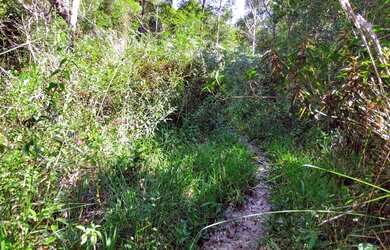 Imagem 9: Sítio à venda por R$ 690.000, 36 hectares, lindas pastegens e nascentes