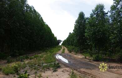 Imagem 2: Fazenda à venda, 1050 Ha - Zona Rural - Rio Sono/TO