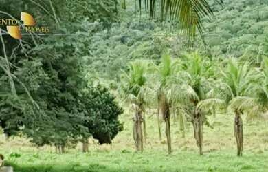 Imagem 2: Fazenda em Cáceres à venda, 17640000 m² por R$ 8.000.000 - Zona Rural...