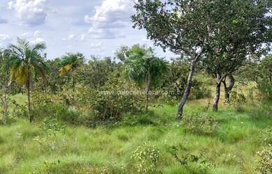 Imagem 12: Excelente Fazenda no Muni. de São Félix Do Araguaia e parte no Muni. de Luciara - MT